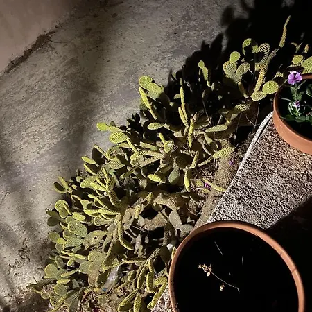 Marina Castellana Ii Apartament *