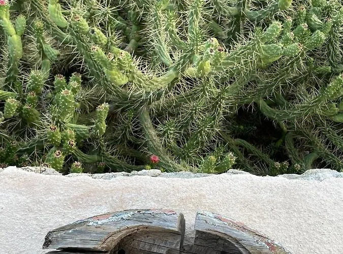 شقة Marina Castellana Ii